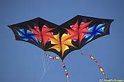 32 FESTIVAL CERVIA 2012 - 184